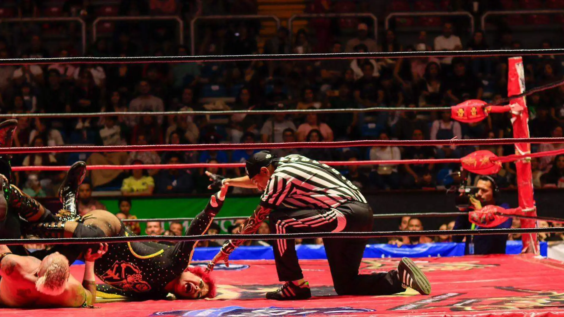 LUCHA LIBRE (1)